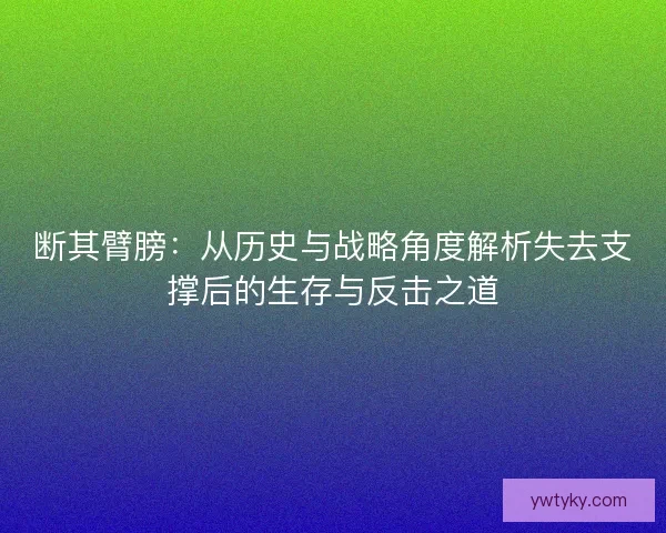 断其臂膀：从历史与战略角度解析失去支撑后的生存与反击之道