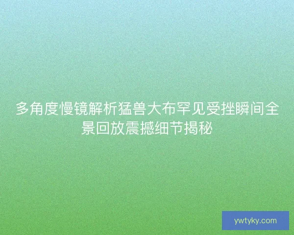 多角度慢镜解析猛兽大布罕见受挫瞬间全景回放震撼细节揭秘 多角度慢镜解析猛兽大布罕见受挫瞬间全景回放震撼细节揭秘