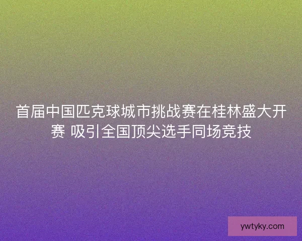 首届中国匹克球城市挑战赛在桂林盛大开赛 吸引全国顶尖选手同场竞技 首届中国匹克球城市挑战赛在桂林盛大开赛 吸引全国顶尖选手同场竞技