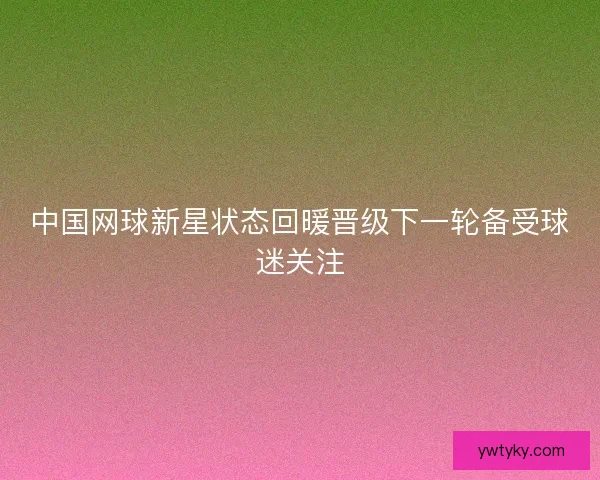 中国网球新星状态回暖晋级下一轮备受球迷关注 中国网球新星状态回暖晋级下一轮备受球迷关注